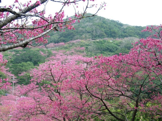 イベント画像